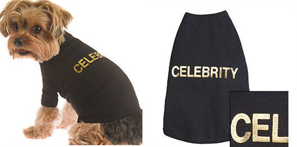 celebrity dog clothes