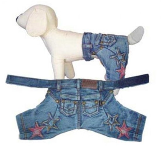 jeans dog