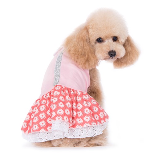  Pet Edge Extra Small Gingham Bling Sundress Dog Dress : Pet  Dresses : Pet Supplies