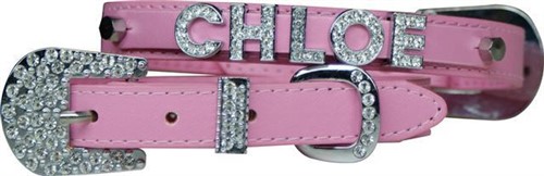 Slider Dog Collars with Rhinestone Letters (Medium / Large Dogs)