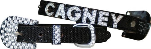 2-Color luxury dog collar with brass fittings – Waggy Pooch