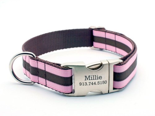 pink dog collar and lead