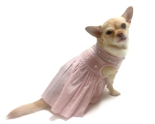 oscar newman dog dresses