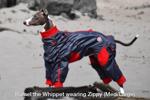 Zippy suits 2024