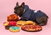10" Pizza Plush Dog Toy - fab-pizza-toyP-46P