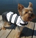 Louie Paws Aboard Dog Life Jacket - pawsabd-louieL-MFK