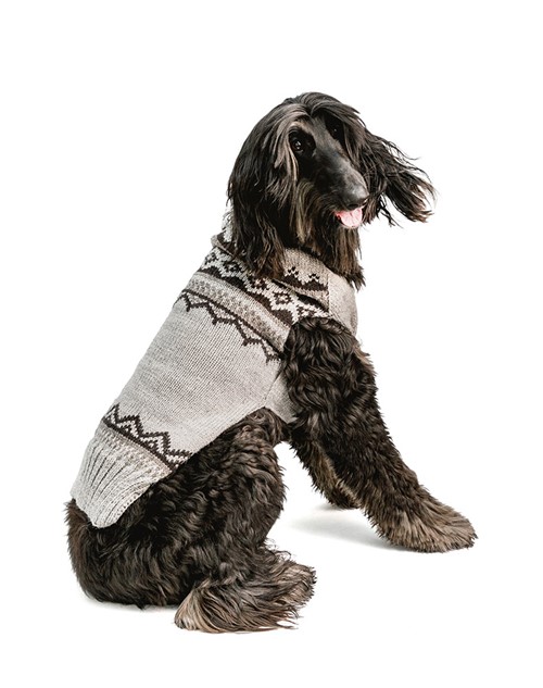 Dog sweater sale australia