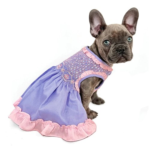 Pin on Roxy the French Bulldog Costumes