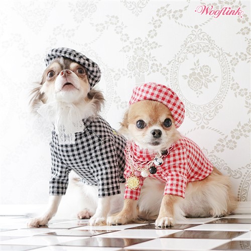 Preppy Dog Clothes 