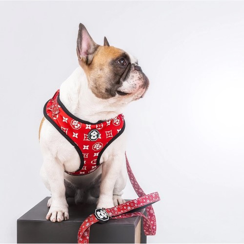 hypebeast dog harness