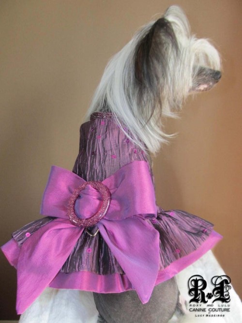 Dog Harness Dress. Rose Couture Dog Dress Tutu Dog Dress 