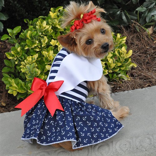 doggie design nautical dog dress with matching leash