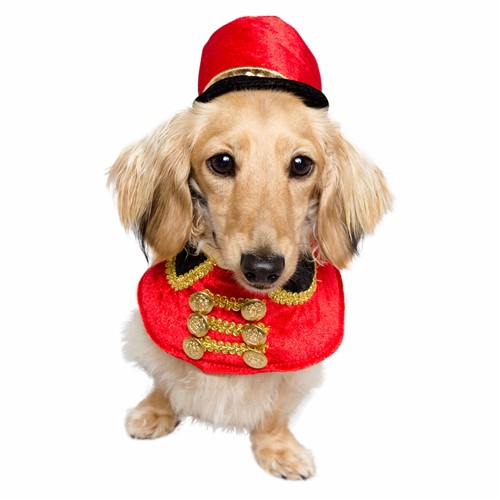 holiday dog costume