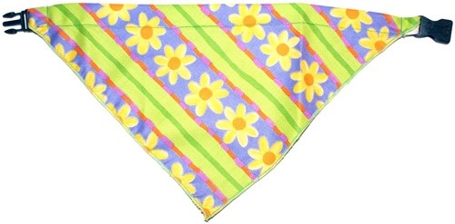 Bandana Dog Collars -Daisy kosher, hanukkah, toy, jewish, toy, puppy bed,  beds,dog mat, pet mat, puppy mat, fab dog pet sweater, dog swepet clothes, dog clothes, puppy clothes, pet store, dog store, puppy boutique store, dog boutique, pet boutique, puppy boutique, Bloomingtails, dog, small dog clothes, large dog clothes, large dog costumes, small dog costumes, pet stuff, Halloween dog, puppy Halloween, pet Halloween, clothes, dog puppy Halloween, dog sale, pet sale, puppy sale, pet dog tank, pet tank, pet shirt, dog shirt, puppy shirt,puppy tank, I see spot, dog collars, dog leads, pet collar, pet lead,puppy collar, puppy lead, dog toys, pet toys, puppy toy, dog beds, pet beds, puppy bed,  beds,dog mat, pet mat, puppy mat, fab dog pet sweater, dog sweater, dog winte