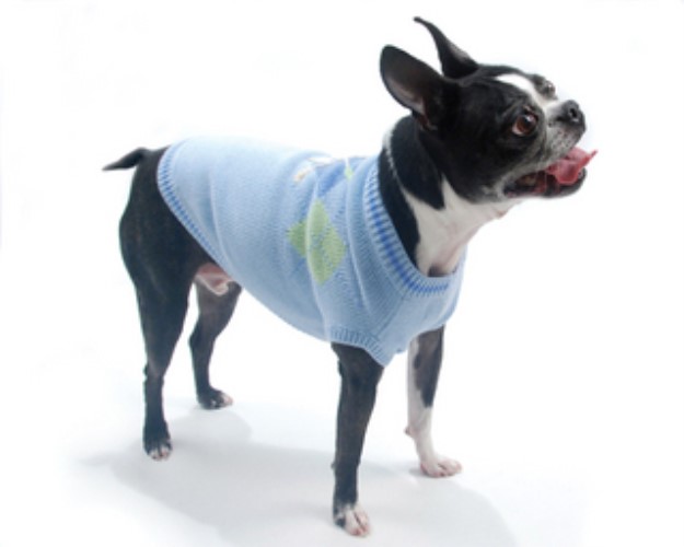 Hole in One Golf Sweater by Oscar Newman-Bloomingtails Dog Boutique