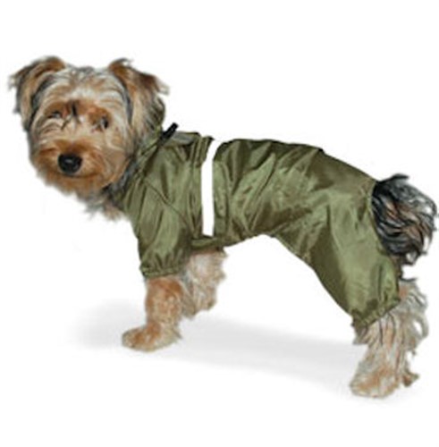 Rain Jumper-Green puppy bed,  beds,dog mat, pet mat, puppy mat, fab dog pet sweater, dog swepet clothes, dog clothes, puppy clothes, pet store, dog store, puppy boutique store, dog boutique, pet boutique, puppy boutique, Bloomingtails, dog, small dog clothes, large dog clothes, large dog costumes, small dog costumes, pet stuff, Halloween dog, puppy Halloween, pet Halloween, clothes, dog puppy Halloween, dog sale, pet sale, puppy sale, pet dog tank, pet tank, pet shirt, dog shirt, puppy shirt,puppy tank, I see spot, dog collars, dog leads, pet collar, pet lead,puppy collar, puppy lead, dog toys, pet toys, puppy toy, dog beds, pet beds, puppy bed,  beds,dog mat, pet mat, puppy mat, fab dog pet sweater, dog sweater, dog winter, pet winter,dog raincoat, pet rain