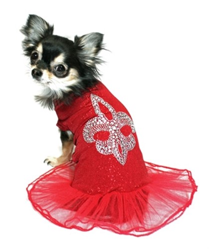 Red Fluer de lis Ballerina Dress dog bowls,susan lanci, puppia,wooflink, luxury dog boutique,tonimari,pet clothes, dog clothes, puppy clothes, pet store, dog store, puppy boutique store, dog boutique, pet boutique, puppy boutique, Bloomingtails, dog, small dog clothes, large dog clothes, large dog costumes, small dog costumes, pet stuff, Halloween dog, puppy Halloween, pet Halloween, clothes, dog puppy Halloween, dog sale, pet sale, puppy sale, pet dog tank, pet tank, pet shirt, dog shirt, puppy shirt,puppy tank, I see spot, dog collars, dog leads, pet collar, pet lead,puppy collar, puppy lead, dog toys, pet toys, puppy toy, dog beds, pet beds, puppy bed,  beds,dog mat, pet mat, puppy mat, fab dog pet sweater, dog sweater, dog winter, pet winter,dog raincoat, pet raincoat,