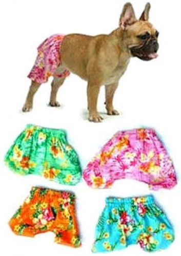 Dog in hot sale shorts