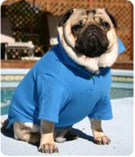 Classic Dog Polo-Bloomingtails Dog Boutique