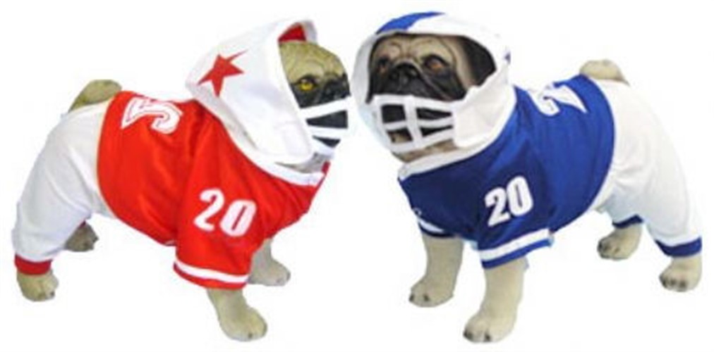 dog football helmet costume