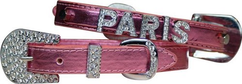 Dog Boutique-Pink Rhinestone Slide collar Letters-Bloomingtails Dog Boutique