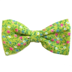 Green Flowers Print Bowtie  wooflink, susan lanci, dog clothes, small dog clothes, urban pup, pooch outfitters, dogo, hip doggie, doggie design, small dog dress, pet clotes, dog boutique. pet boutique, bloomingtails dog boutique, dog raincoat, dog rain coat, pet raincoat, dog shampoo, pet shampoo, dog bathrobe, pet bathrobe, dog carrier, small dog carrier, doggie couture, pet couture, dog football, dog toys, pet toys, dog clothes sale, pet clothes sale, shop local, pet store, dog store, dog chews, pet chews, worthy dog, dog bandana, pet bandana, dog halloween, pet halloween, dog holiday, pet holiday, dog teepee, custom dog clothes, pet pjs, dog pjs, pet pajamas, dog pajamas,dog sweater, pet sweater, dog hat, fabdog, fab dog, dog puffer coat, dog winter jacket, dog col