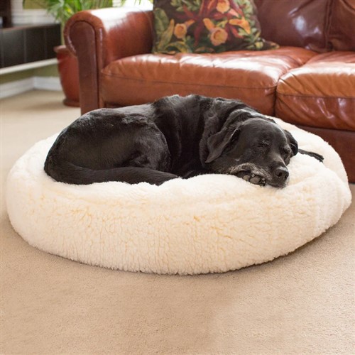 Hugglehounds top dog bed