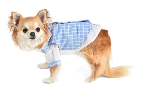 Oscar newman dog outlet clothes