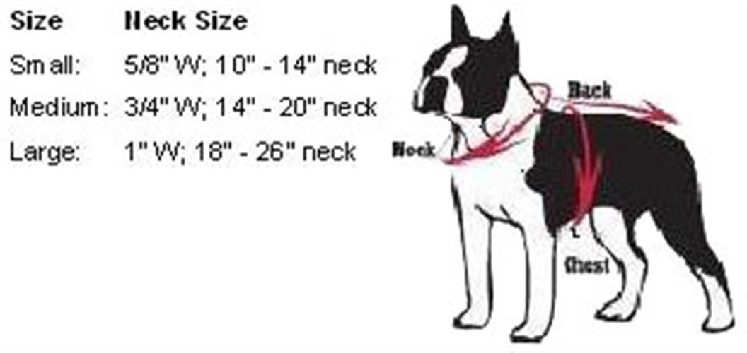 Yankees best sale dog harness