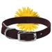 Sunflower 1/2 inch Collar - sl-sunflowercollar12