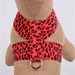 Tinkie Harness in Jungle Prints-Lots of Choices - sl-jungletinkieharness