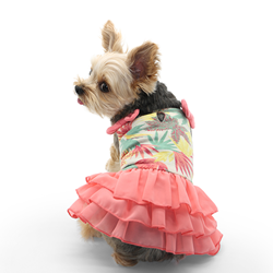 Autumn Leaves Dress dog dress, pet dress, dogo, dogo dress, cute dog dress, cute pet dress, autumn leaves dog dress, sale dress, sale dogs, pet store near me, dog boutique near me, dog coat, pet coat, dog winter coat, pet winter coat, fashion coat, dog tweed, dig handmade, pet tweed, small dog coat, small pet coat,dog harness, pet harness, dog, pet, dog boutique, pet boutique, sale dogs, pet sale, dog store, pet store, doggie couture, bloomingtails dog boutique, new dog designs, new pet design, chanel harness, chanel pet harness, chanel dog harness, dog spring designs, harness sale, harness clearance, hello doggie