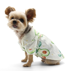 Avacado Shirt avocado shirt, pet avocado, dog stores near me, pet stores near me, 24 hour, dogo, avocado dogs, dog shirt, pet shirt, mirage, bloomingtails dog boutique, solid pet shirt, solid dog shirt, dog tank, pet tank, pet solid shirt, dog solid shirt, dog clothes, pet clothes, dog boutique, pet boutique, small do clothes, small pet clothes, pet couture, pet style, dog style, dog couture, dog fashion, pet fashion, pet sale, dog sale, doggie, doggie clearance, pet clearance