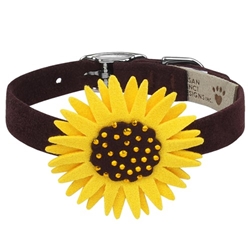 Sunflower 1/2 inch Collar dog collar, pet collar, pet, dog, sunflower collar, susan lanci sunflower, new sunflower, pet new, sale sunflower, sale susan lanci, coupon susan, new coupon, dog coat, pet coat, dog winter coat, pet winter coat, fashion coat, dog tweed, dig handmade, pet tweed, small dog coat, small pet coat,dog harness, pet harness, dog, pet, dog boutique, pet boutique, sale dogs, pet sale, dog store, pet store, doggie couture, bloomingtails dog boutique, new dog designs, new pet design, chanel harness, chanel pet harness, chanel dog harness, dog spring designs, harness sale, harness clearance, hello doggie