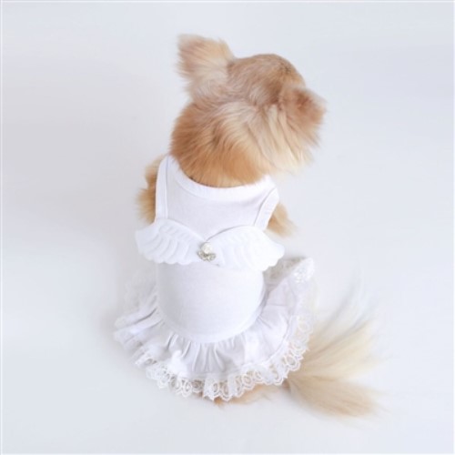 Lil' Angel Dress wooflink, susan lanci, dog clothes, small dog clothes, urban pup, pooch outfitters, dogo, hip doggie, doggie design, small dog dress, pet clotes, dog boutique. pet boutique, bloomingtails dog boutique, dog raincoat, dog rain coat, pet raincoat, dog shampoo, pet shampoo, dog bathrobe, pet bathrobe, dog carrier, small dog carrier, doggie couture, pet couture, dog football, dog toys, pet toys, dog clothes sale, pet clothes sale, shop local, pet store, dog store, dog chews, pet chews, worthy dog, dog bandana, pet bandana, dog halloween, pet halloween, dog holiday, pet holiday, dog teepee, custom dog clothes, pet pjs, dog pjs, pet pajamas, dog pajamas,dog sweater, pet sweater, dog hat, fabdog, fab dog, dog puffer coat, dog winter jacket, dog col