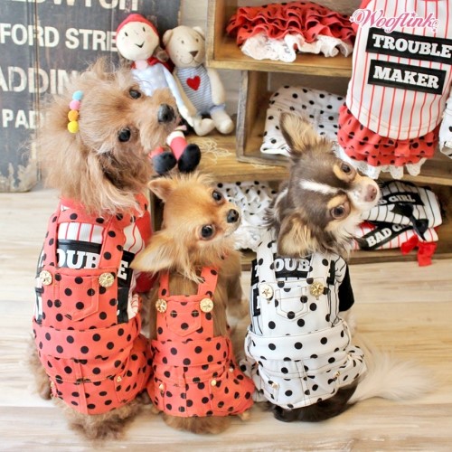 Polka Polka Dog Overalls wooflink, tonimari,pet clothes, dog clothes, puppy clothes, pet store, dog store, puppy boutique store, dog boutique, pet boutique, puppy boutique, Bloomingtails, dog, small dog clothes, large dog clothes, large dog costumes, small dog costumes, pet stuff, Halloween dog, puppy Halloween, pet Halloween, clothes, dog puppy Halloween, dog sale, pet sale, puppy sale, pet dog tank, pet tank, pet shirt, dog shirt, puppy shirt,puppy tank, I see spot, dog collars, dog leads, pet collar, pet lead,puppy collar, puppy lead, dog toys, pet toys, puppy toy, dog beds, pet beds, puppy bed,  beds,dog mat, pet mat, puppy mat, fab dog pet sweater, dog sweater, dog winter, pet winter,dog raincoat, pet raincoat, dog harness, puppy harness, pet harness, dog coll