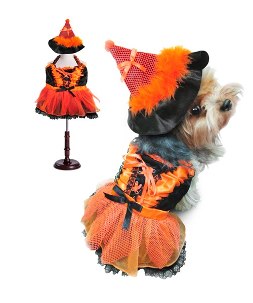 Orange & Black Witch Pet Costume beds, puppy bed,  beds,dog mat, pet mat, puppy mat, fab dog pet sweater, dog swepet clothes, dog clothes, puppy clothes, pet store, dog store, puppy boutique store, dog boutique, pet boutique, puppy boutique, Bloomingtails, dog, small dog clothes, large dog clothes, large dog costumes, small dog costumes, pet stuff, Halloween dog, puppy Halloween, pet Halloween, clothes, dog puppy Halloween, dog sale, pet sale, puppy sale, pet dog tank, pet tank, pet shirt, dog shirt, puppy shirt,puppy tank, I see spot, dog collars, dog leads, pet collar, pet lead,puppy collar, puppy lead, dog toys, pet toys, puppy toy, dog beds, pet beds, puppy bed,  beds dog mat, pet mat, puppy mat, fab dog pet sweater, dog sweater, dog winter, pet winter,dog raincoat, pe