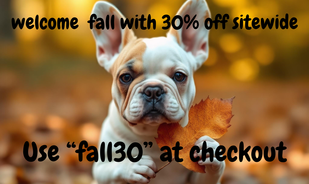 Dog boutique online best sale